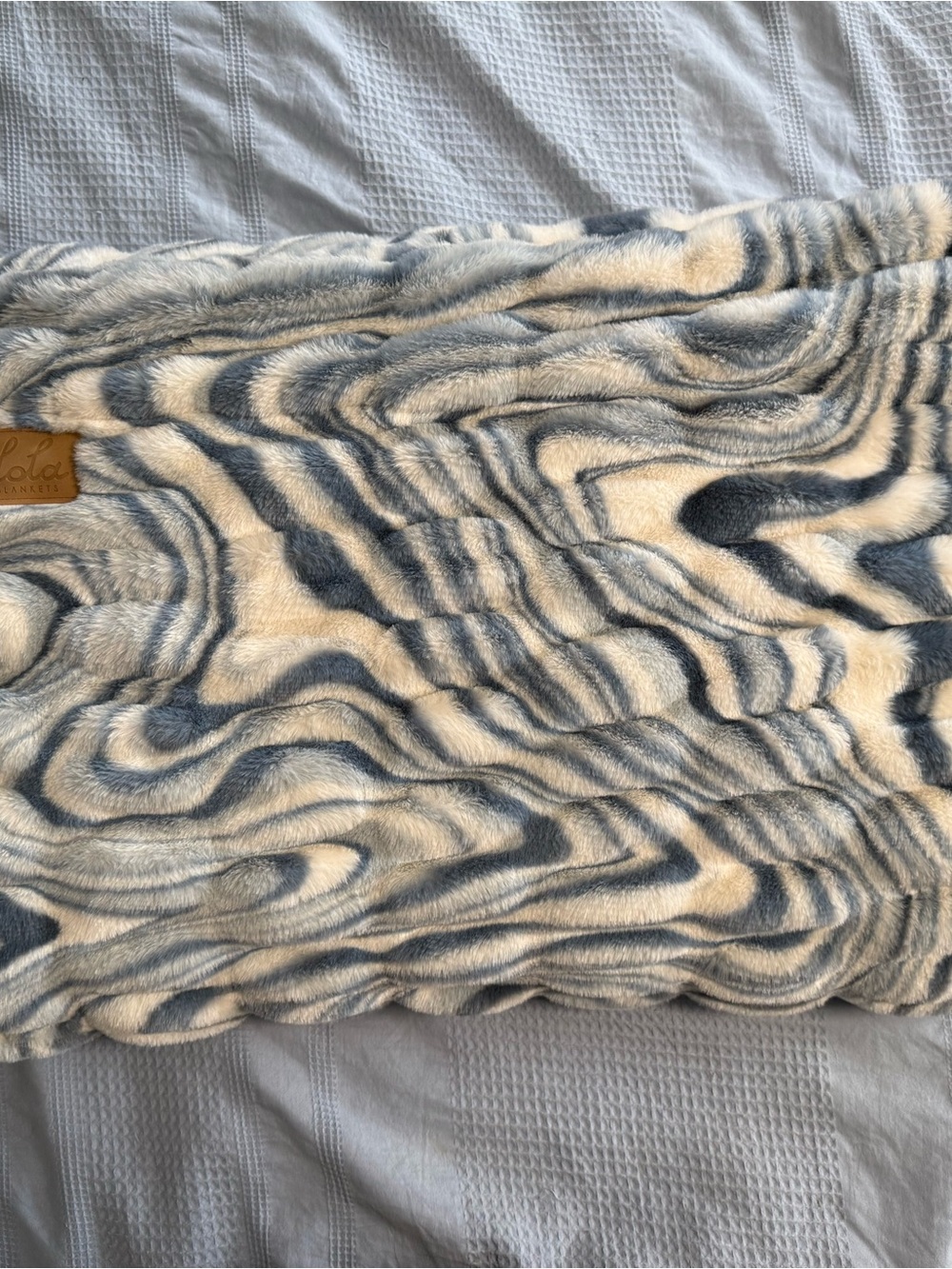 lola Cosmic Blue Plush Swirl Throw Blanket Size Large